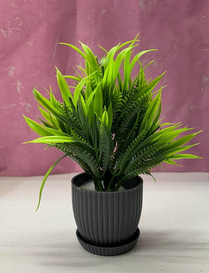 71B4FL6BxbL._SY879_