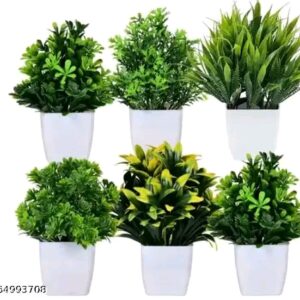 Artificial green grassfull plant pack of 6 size , ( 10 cm )