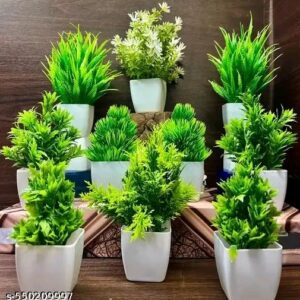 Artificial Plants & Reck