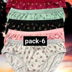 Stylus Women Briefs/Panty A Pack of 6