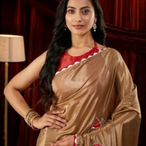 Trendy Pretty Sarees