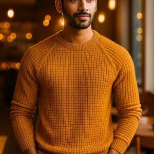 Men Sweaters/Stylish Elegant Men Sweaters