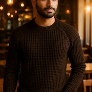 Men Sweaters/Stylish Elegant Men Sweaters